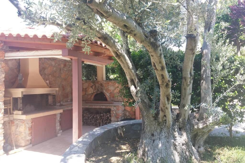 Seaside Villa Andronikos Amarynthos Extérieur photo
