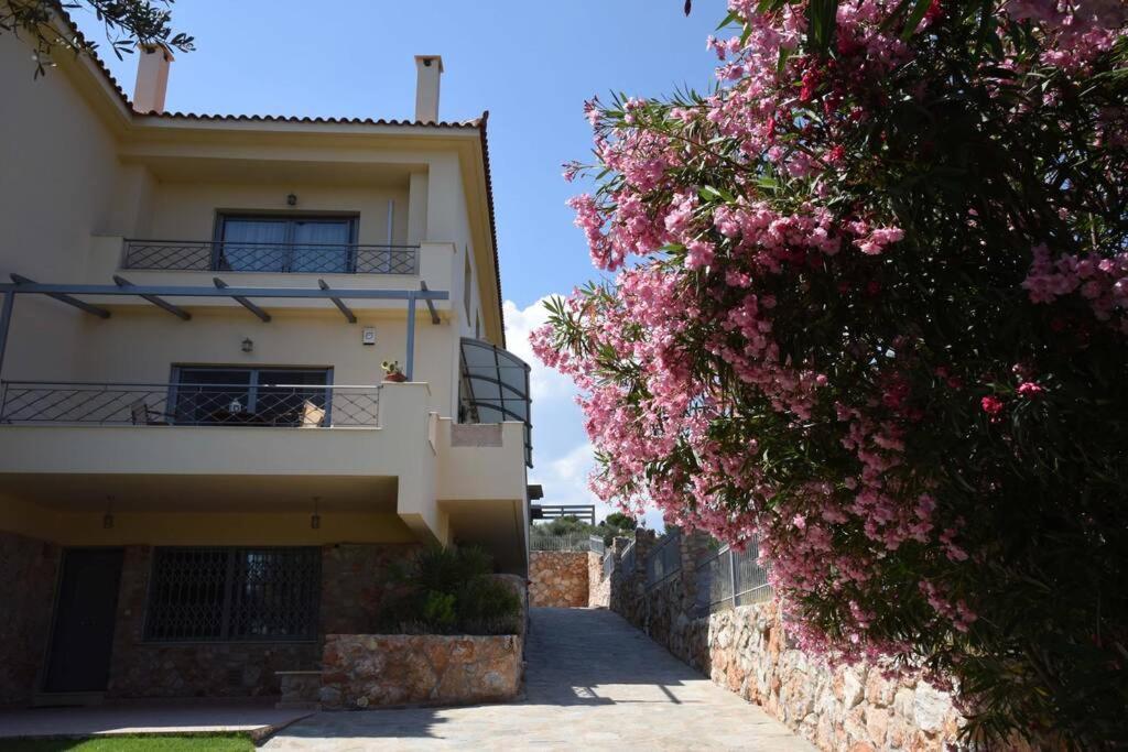 Seaside Villa Andronikos Amarynthos Extérieur photo