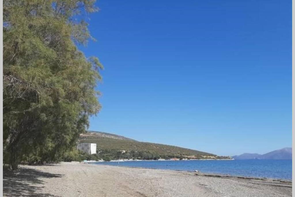 Seaside Villa Andronikos Amarynthos Extérieur photo