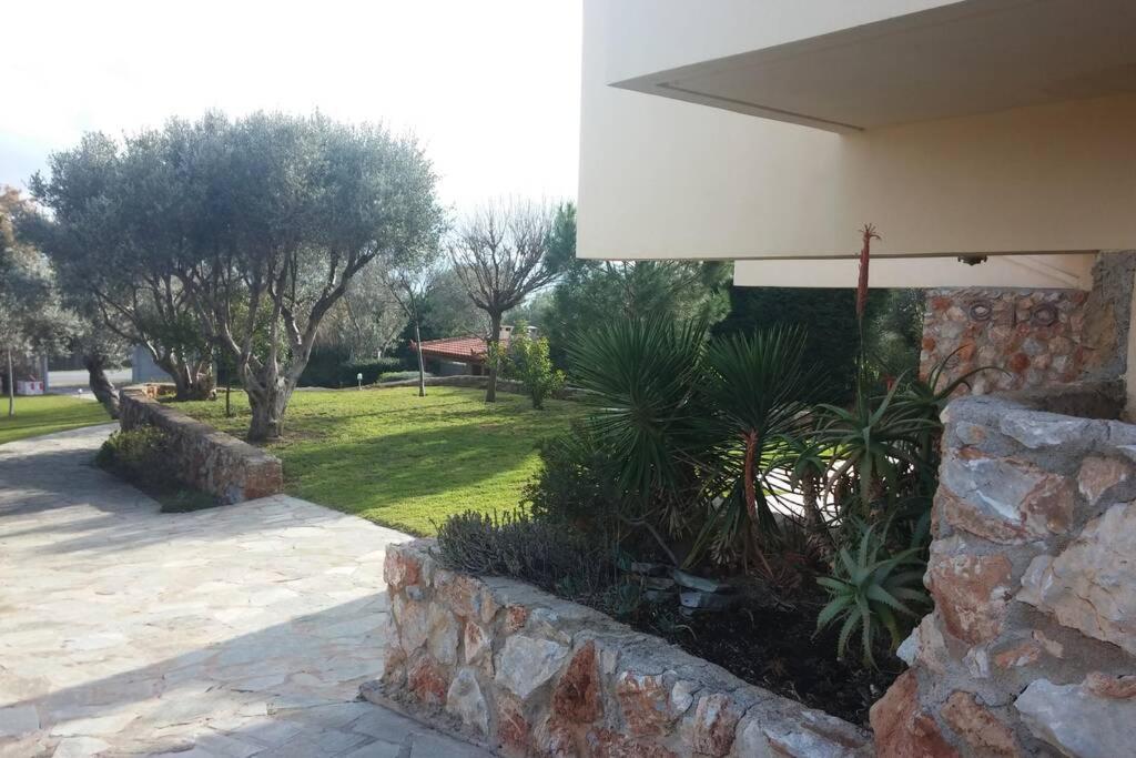 Seaside Villa Andronikos Amarynthos Extérieur photo