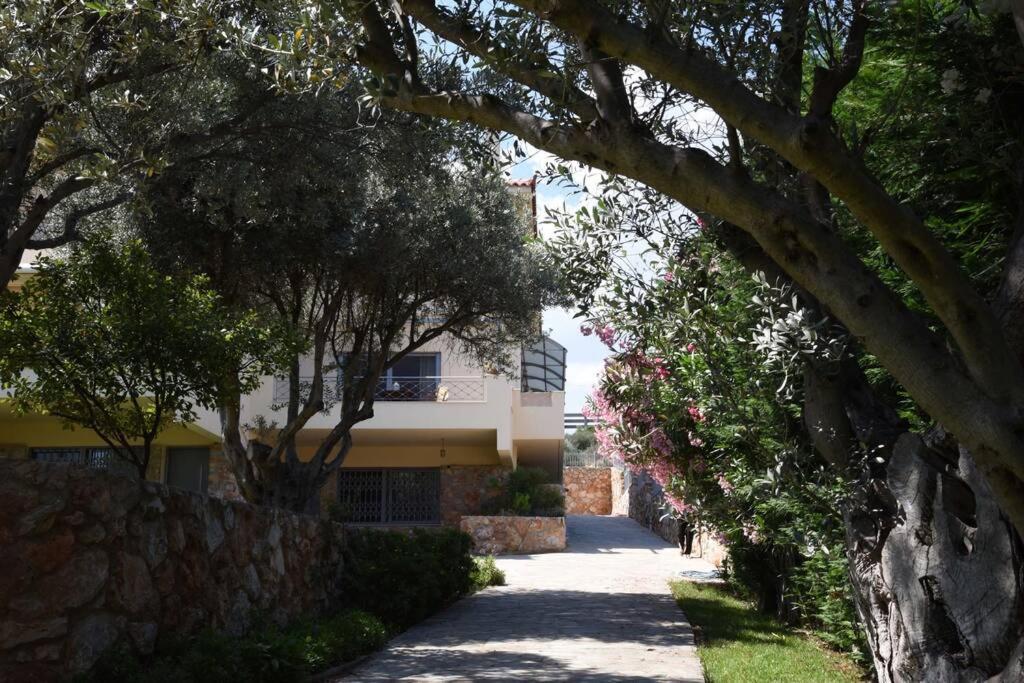 Seaside Villa Andronikos Amarynthos Extérieur photo