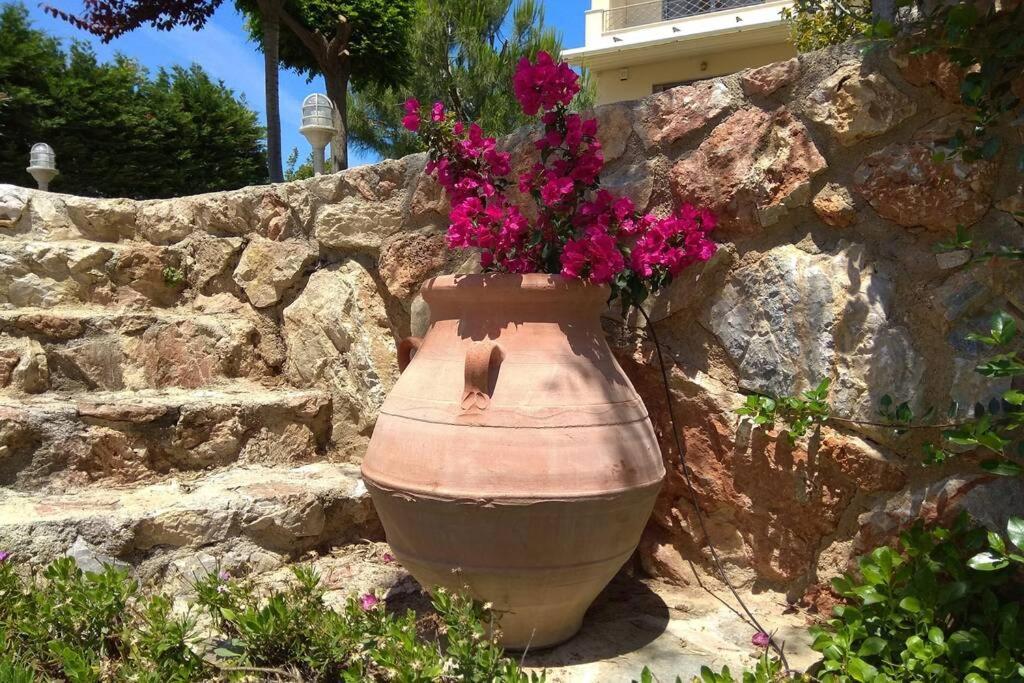 Seaside Villa Andronikos Amarynthos Extérieur photo