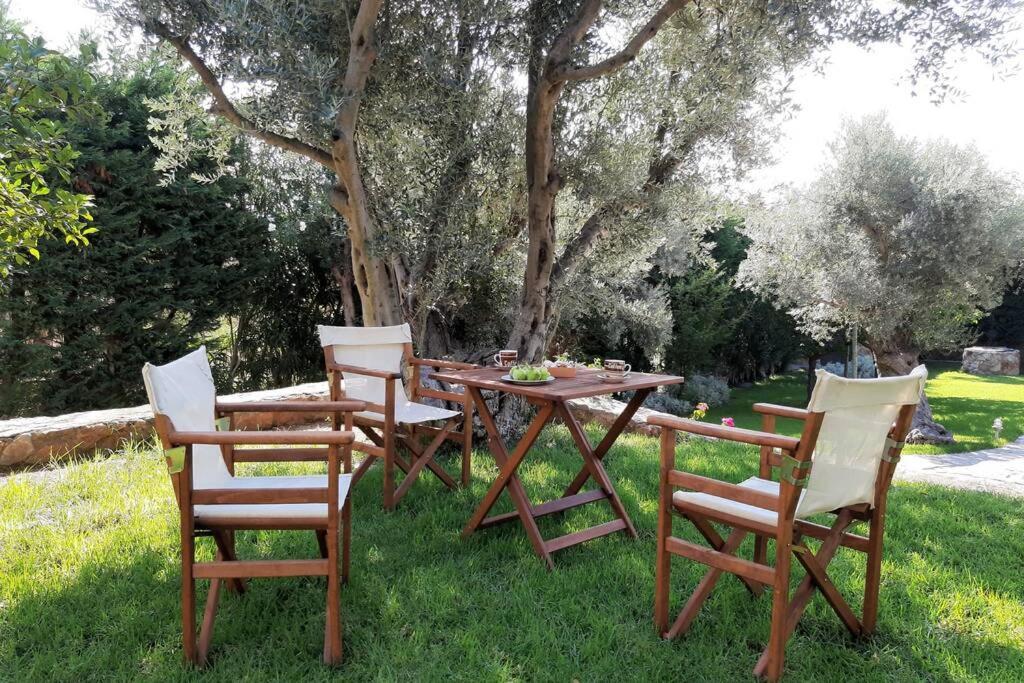 Seaside Villa Andronikos Amarynthos Extérieur photo
