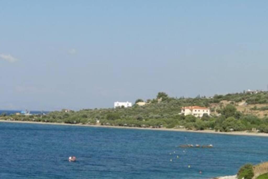 Seaside Villa Andronikos Amarynthos Extérieur photo