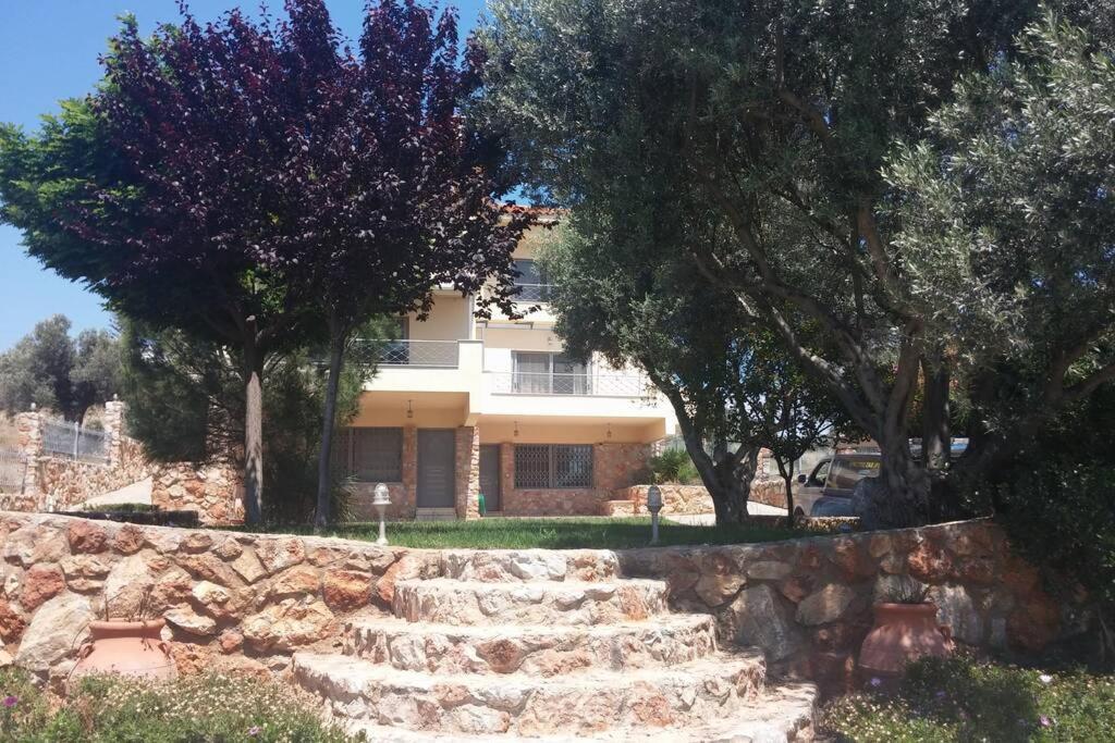 Seaside Villa Andronikos Amarynthos Extérieur photo