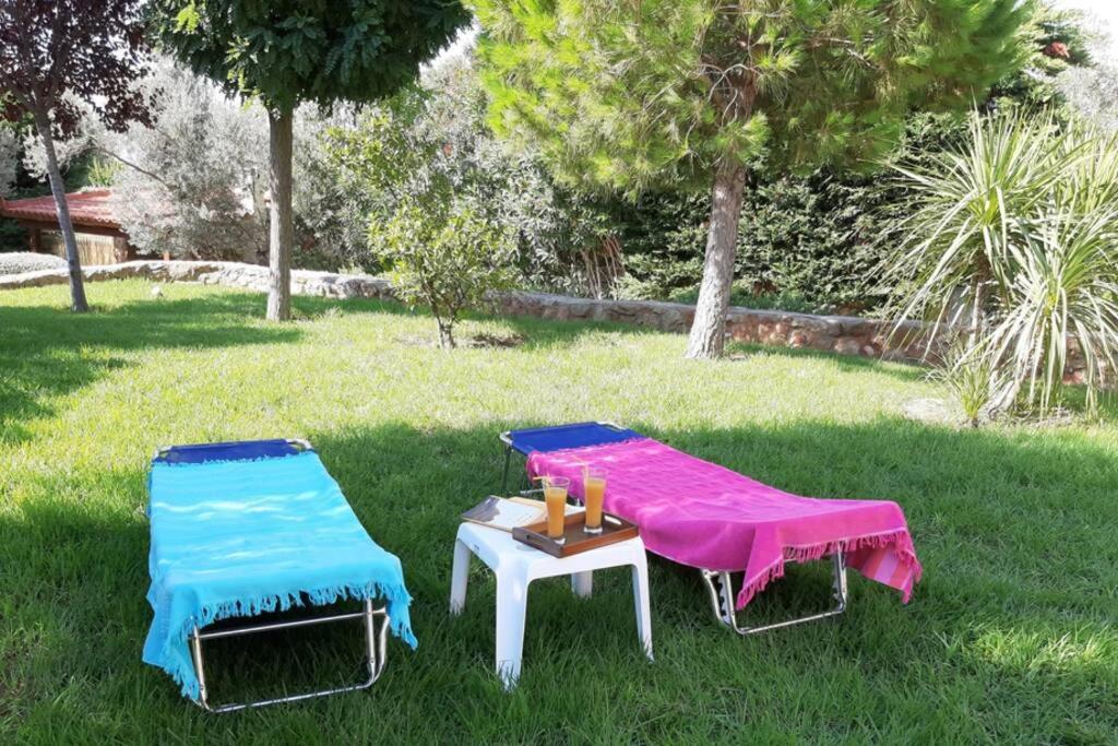 Seaside Villa Andronikos Amarynthos Extérieur photo