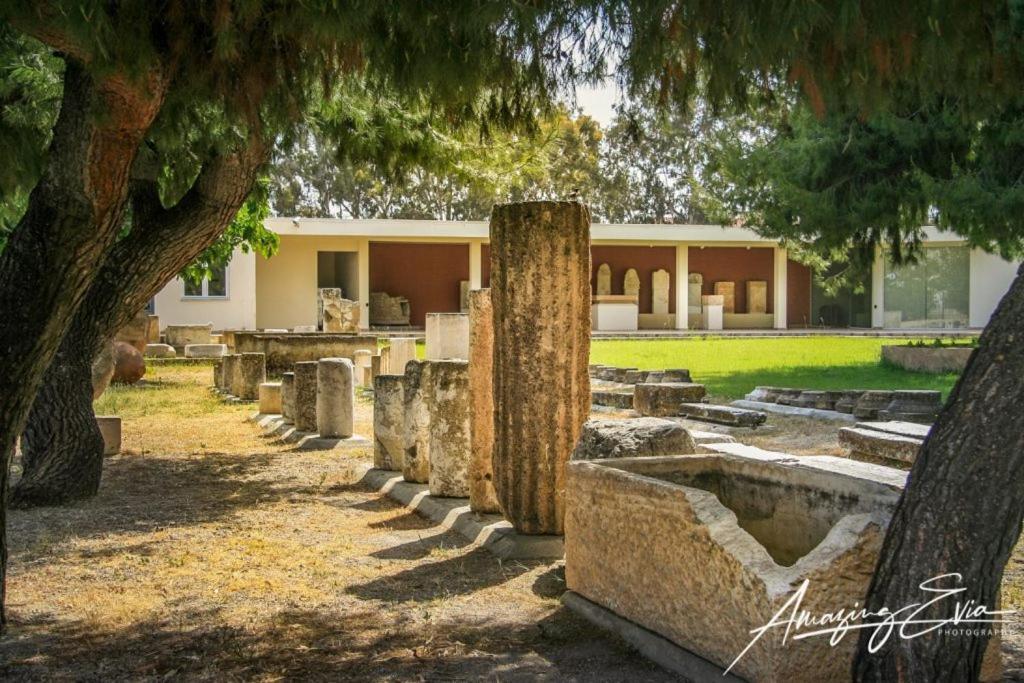 Seaside Villa Andronikos Amarynthos Extérieur photo