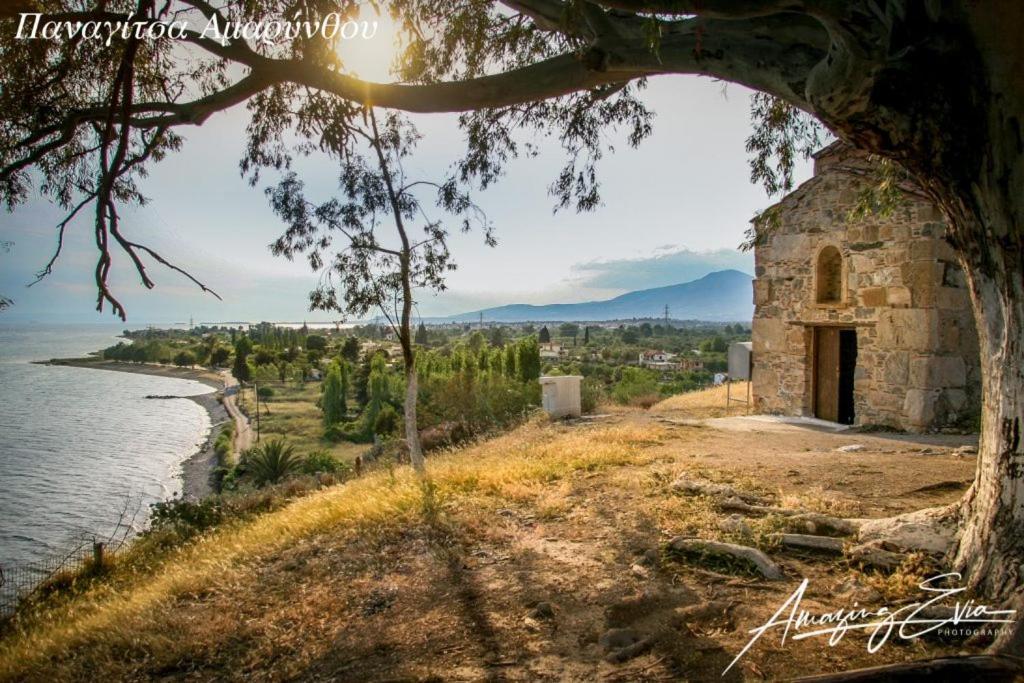 Seaside Villa Andronikos Amarynthos Extérieur photo